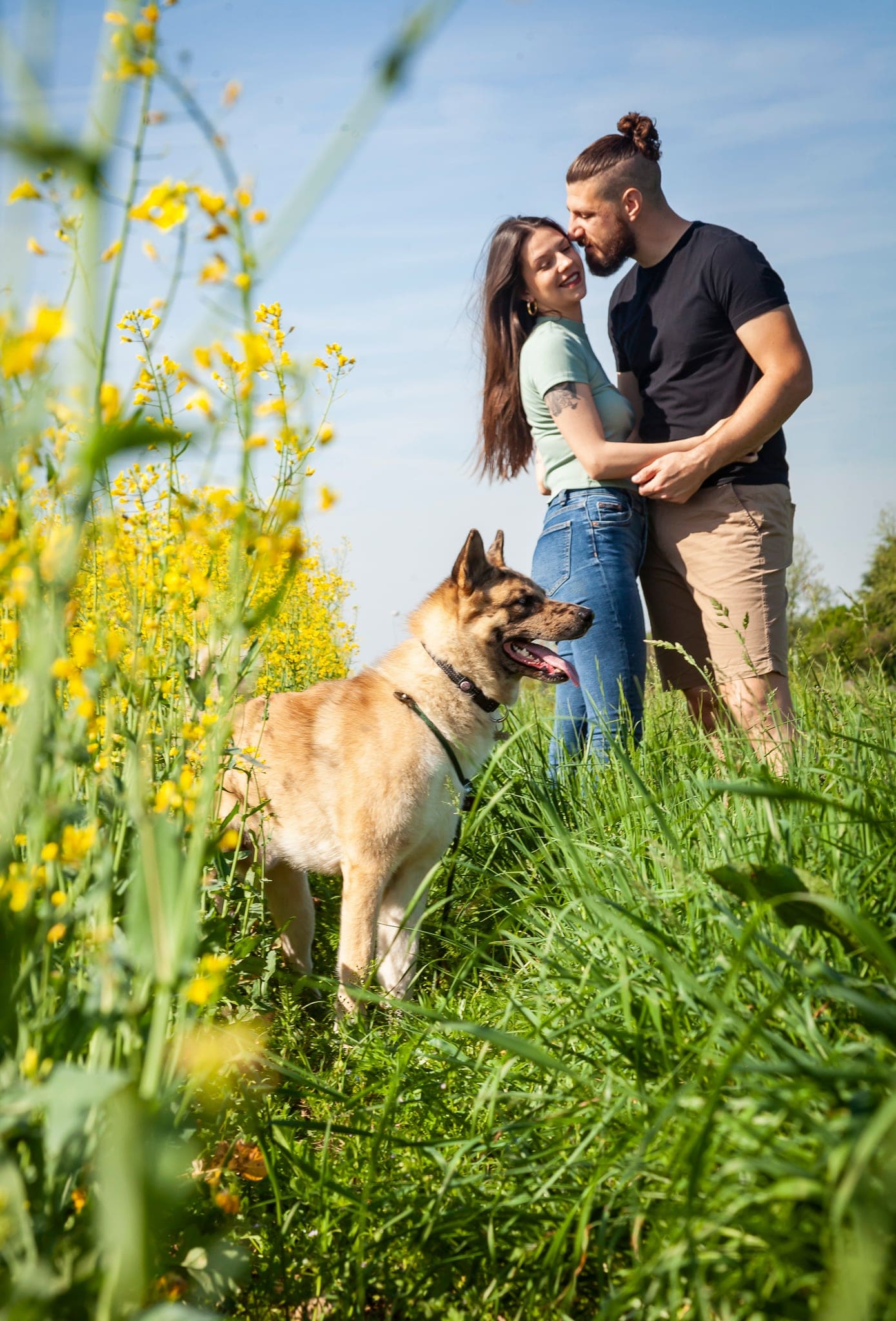 Coppia abbracciata in un prato con fiori gialli e un pastore tedesco accanto, servizio all'aperto con il cane
