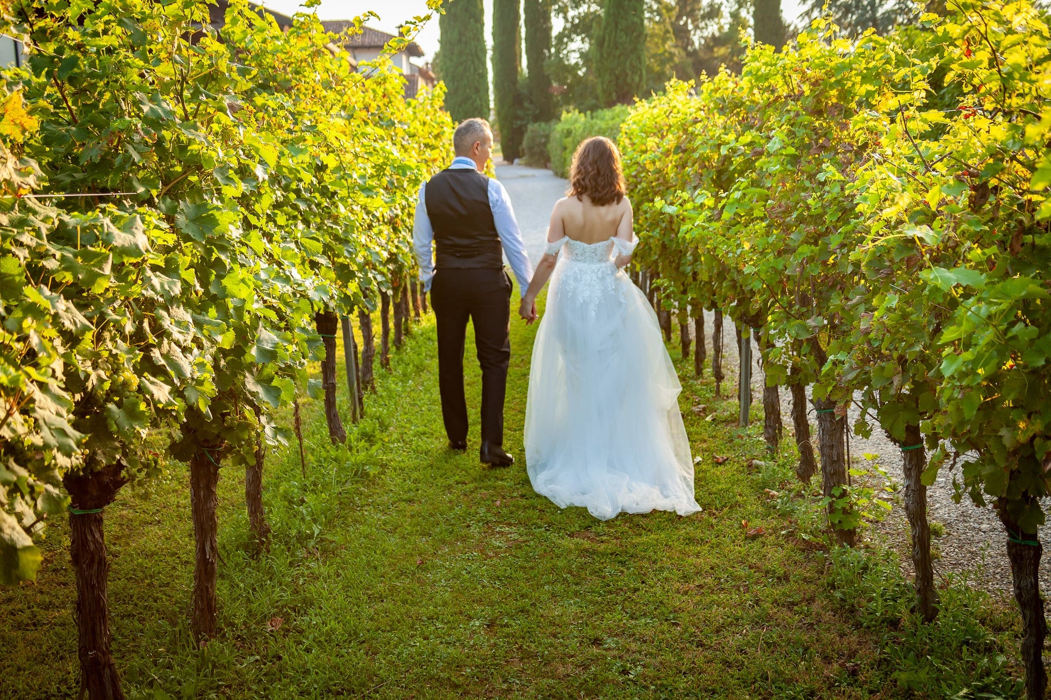Sposa e sposo camminano tra i filari di un vigneto illuminato dal sole, matrimonio alla cantina Giorgio Colutta Wines