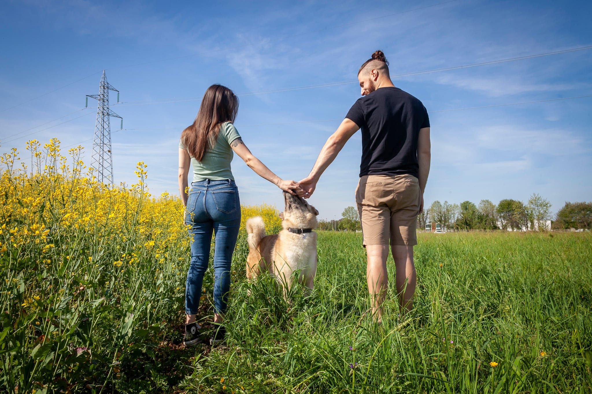 Coppia di spalle nel campo di colza che tiene per mano il cane, sotto un cielo azzurro con nuvole