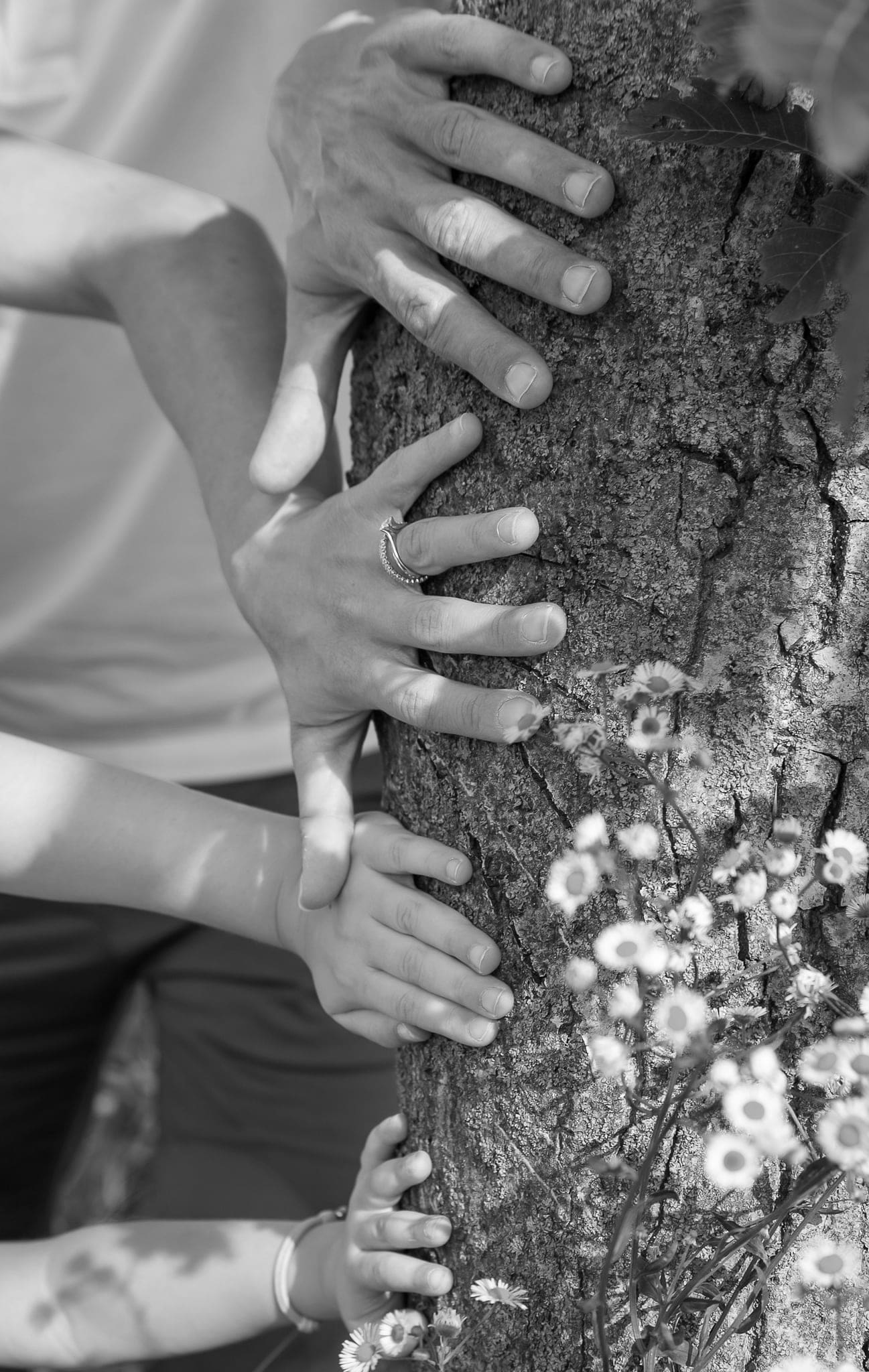 Mani di bambini e adulti appoggiate al tronco di un albero con piccoli fiori, in bianco e nero
