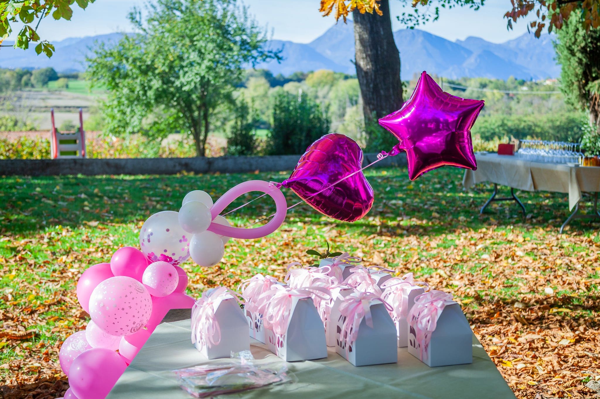 Allestimento nel giardino con palloncini rosa a forma di stella e cuore, scatoline bomboniera e montagne sullo sfondo