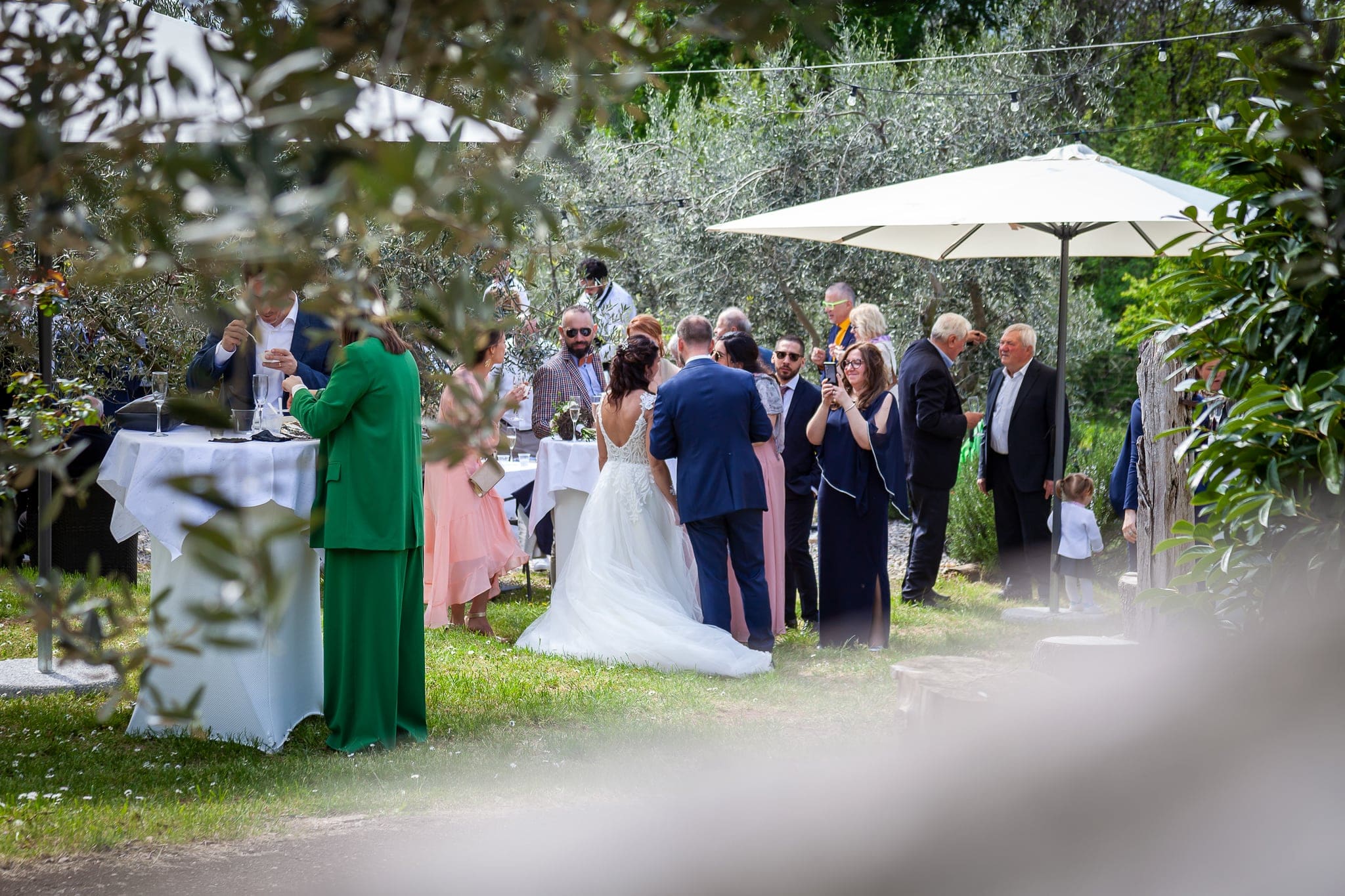 Sposa e invitati in conversazione sotto un ombrellone bianco in un giardino con ulivi, matrimonio sulla Terra del Carso
